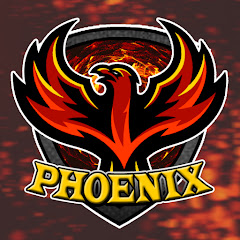 PhoenixFlareX net worth