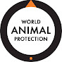 World Animal Protection USA logo