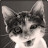 @yimingzhang2169's avatar