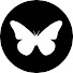 j6szgk4QBMo-channel-avatar-Butterfly Playing Cards