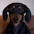 @overlook77's avatar