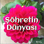 Şöhretin Dünyası