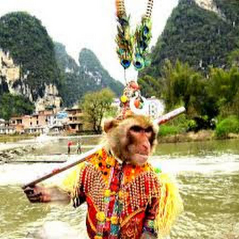 За Великой Стеной Затаился Дракон