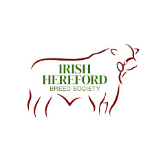 Irish Hereford