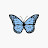 @navi_is_butterfly