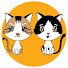 zZdGUrZDSkY-channel-avatar-Curry Sugar Meow