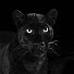 Pr5BhcGf8Ng-channel-avatar-Will Burrard-Lucas