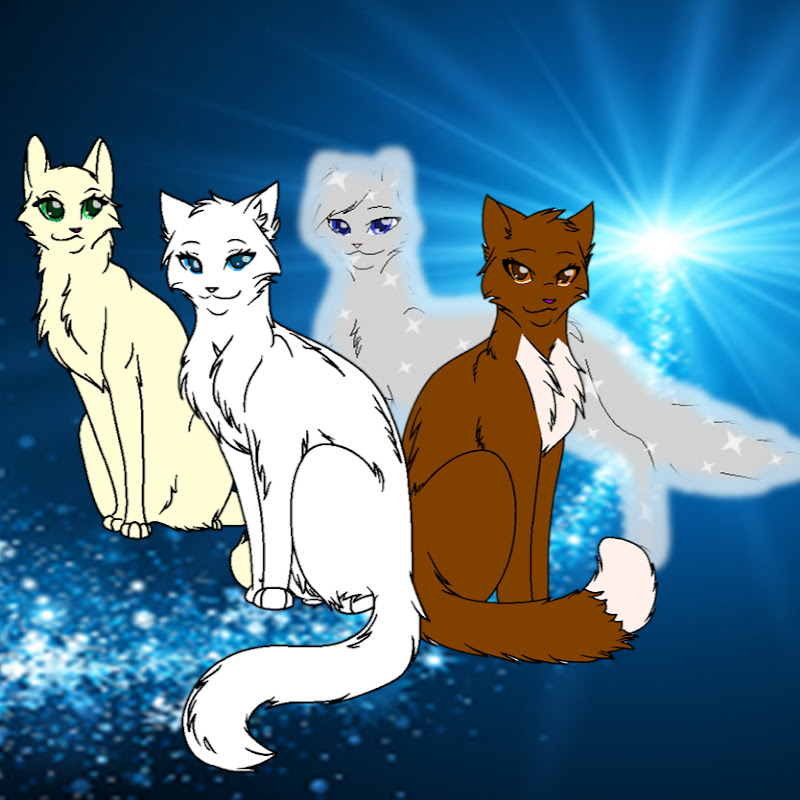 Etoile de Lune & Compagnie