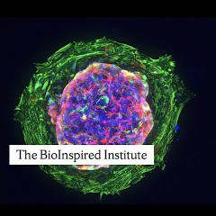 BioInspired Institute