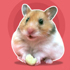 Hamster 1001 avatar