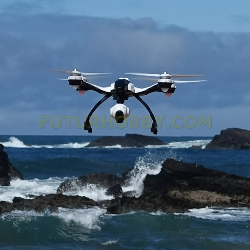 Fly, Rent, Buy Call Funpaw