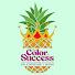 tLrsQloG1MY-channel-avatar-Color Of Success Podcast