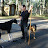 Chris Castro (DogControl.Training)