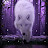 @skydancer4412 Avatar