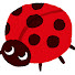 Z02gsj0kLqc-channel-avatar-Ladybird TV
