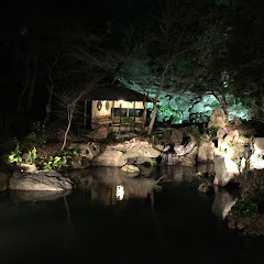 やんkuro