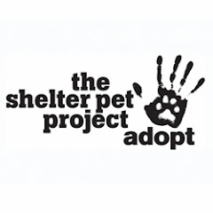 TheShelterPetProject
