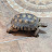 @stephenhill3229 Avatar