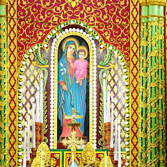 manarcad stmarys net worth