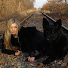N1C2zWQLGWA-channel-avatar-Kasia Kahorska