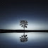 RFp28nHdsOE-channel-avatar-in the night-夜