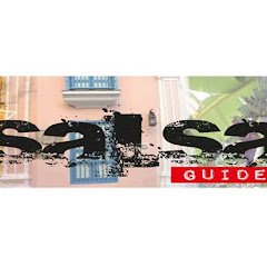 salsaguide