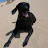 @BigBeniBoy's avatar
