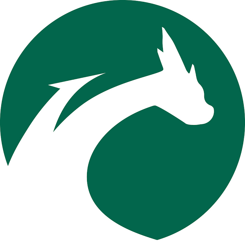 中科媒體 Chinat Media Logo