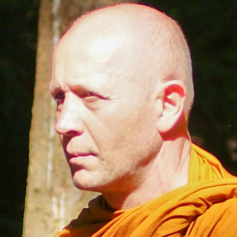 Forest Dhamma Talks