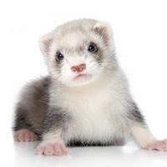 ウツラチャンネル