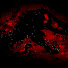 nZ3taEufae0-channel-avatar-Jurassicparkfan1001