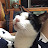 youtube avatar