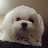 @johnnyb.3570