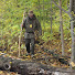 oQr1pMOi8Vw-channel-avatar-Boreal Bushcraft Canada