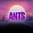 @ants81