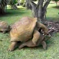 Profile Picture of adhr