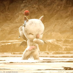 はいぽに