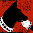 NDXKGzcE-Wo-channel-avatar-Barrio Canino