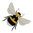 LBkMeyxg7nU-channel-avatar-The Haberdasher Bee
