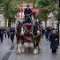 wcxsxVZ8IYI-channel-avatar-SHIRE AND CARRIAGE HORSES Official