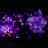 youtube avatar