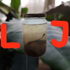 Life in Jars? net worth