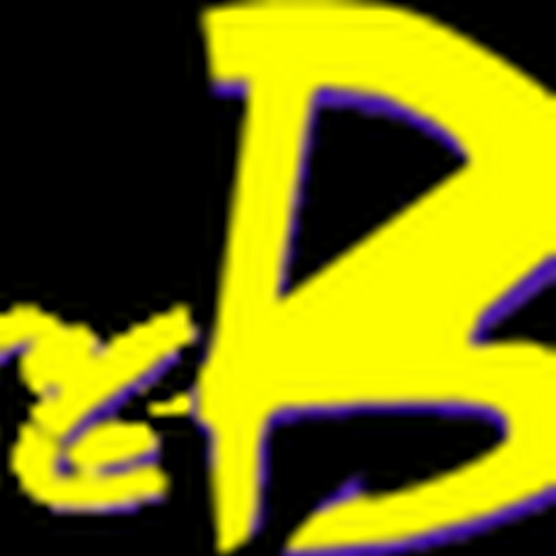 Bungee-Dance Net