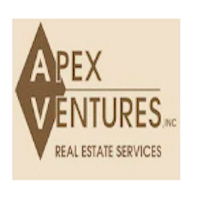 Apex Ventures, Inc.