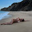 @sandrayavorskaya7364