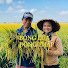PTwf-OctkWs-channel-avatar-Bông Lúa Đồng Tháp