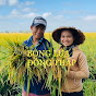 Bông Lúa Đồng Tháp Image Thumbnail