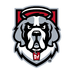 D'Youville Athletics