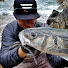 vY62_ZvzK-0-channel-avatar-Marcin Kantor