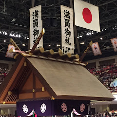 大相撲ファン! 相撲観戦アイコン画像